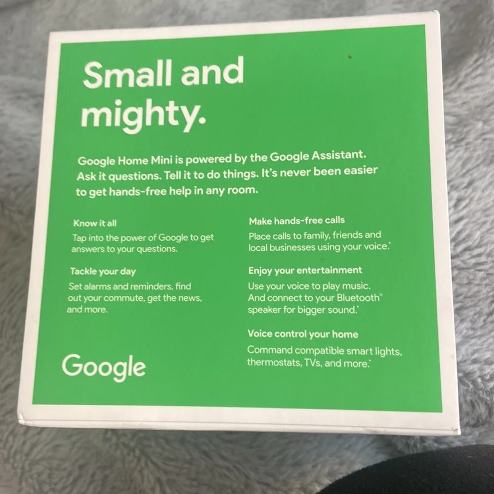 Google home mini